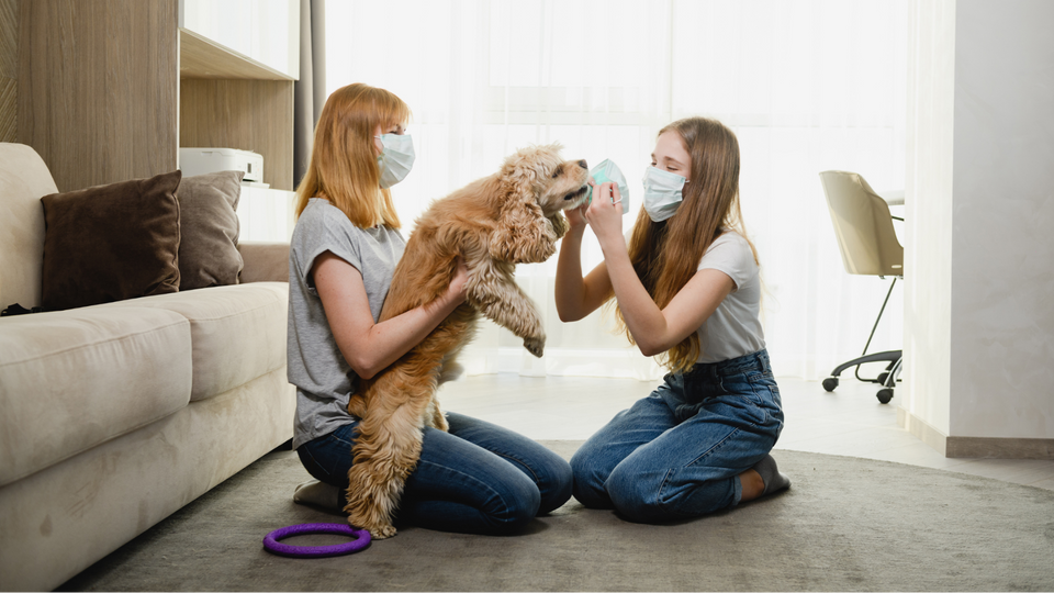 Can Your Furnace Air Filters Help Fight Coronavirus (COVID-19)?