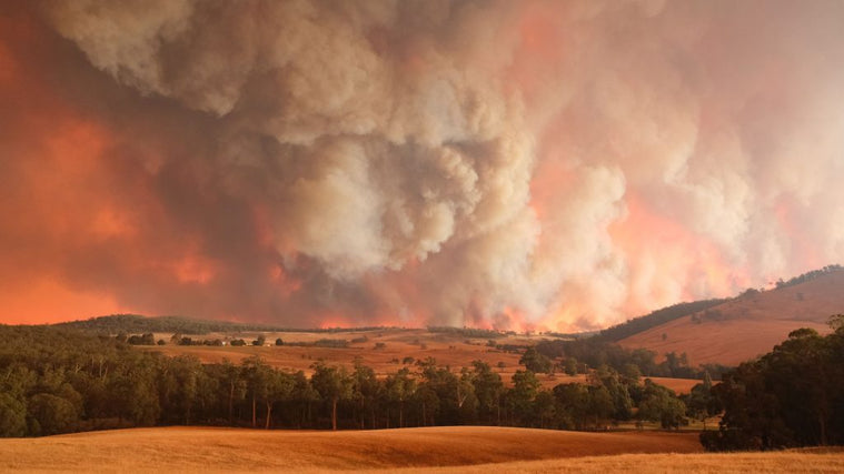 Los Angeles Wildfires