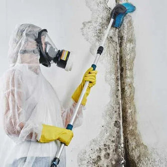 Remediation Contractor
