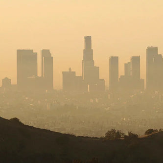 Allergy, Asthma, Odor & Smoke Control