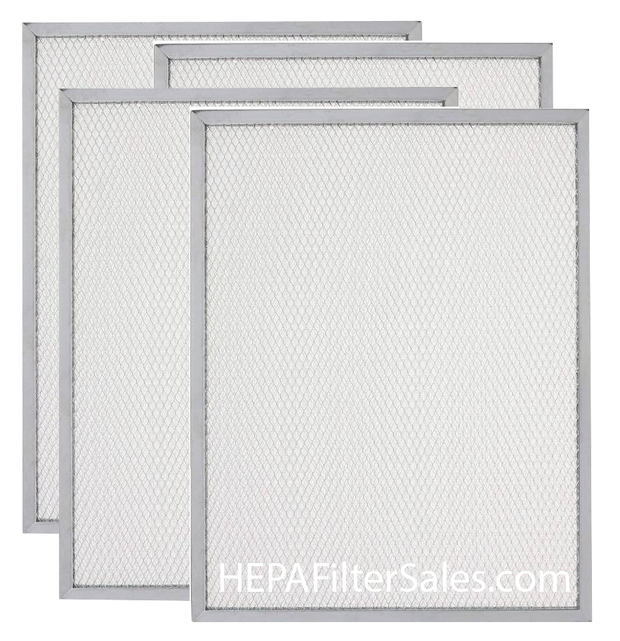 Honeywell 50000293-004 20 x 12 1/2 Post Filter - 4 Filter Pack