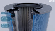 Austin Air HealthMate Air Purifier | Medical Grade HEPA + Carbon