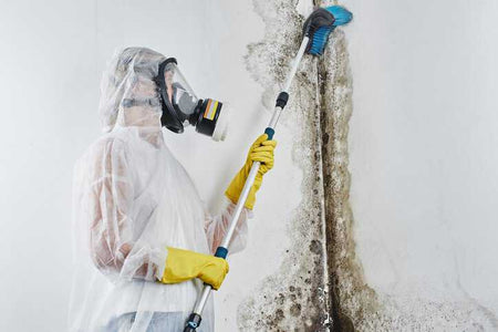 Mold Remediation